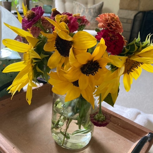 Meet your posher, Christine - Picture 7 of 10